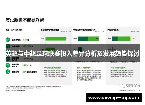 英超与中超足球联赛投入差异分析及发展趋势探讨